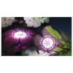 Sicce Flower Led Basic