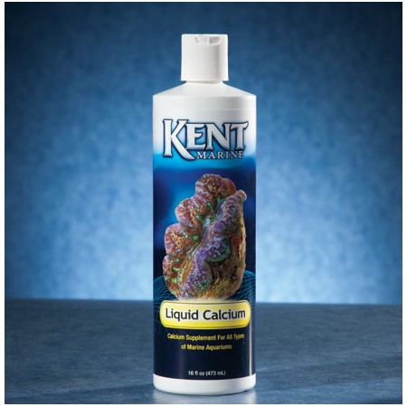 Kent Liquid Calcium 236ml