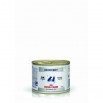 Royal Canin Recovery Dog e Cat Umido 195gr.