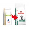 Royal Canin Veterinary Diet Diabetic Cat 400gr