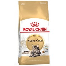 Royal Canin Maine Coon Adult Crocchette Confezione da 10Kg