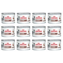 Royal Canin Recovery Dog e Cat Umido 12 Lattine da 195gr.