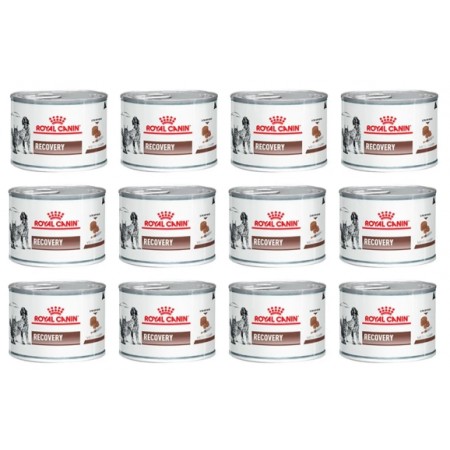 Royal Canin Recovery Dog e Cat Umido 12 Lattine da 195gr.